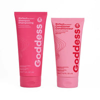 Goddess Maintenance Company Biotech Blowout Restorative Shampoo
