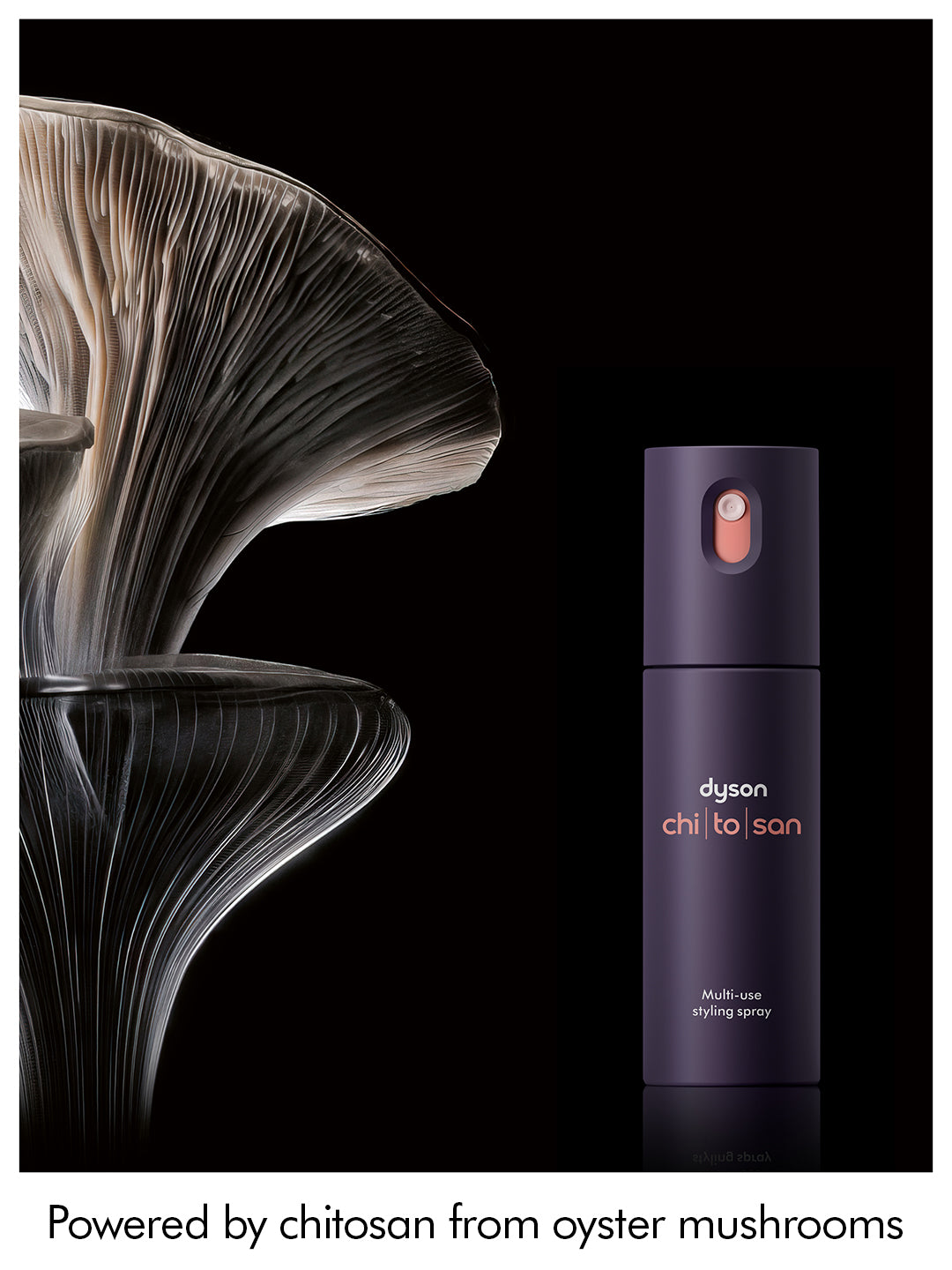 Dyson Define and Refresh Styling Duo